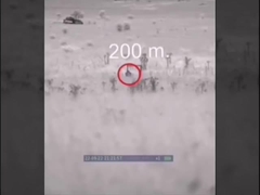 Teleskop do obrazowania termicznego CHIRON SERIES